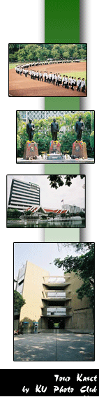 Tour KU online